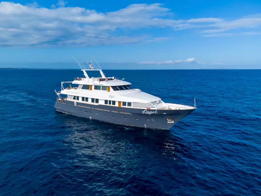Small cruise ship cruising through the bright blue waters on a bright sunny day 