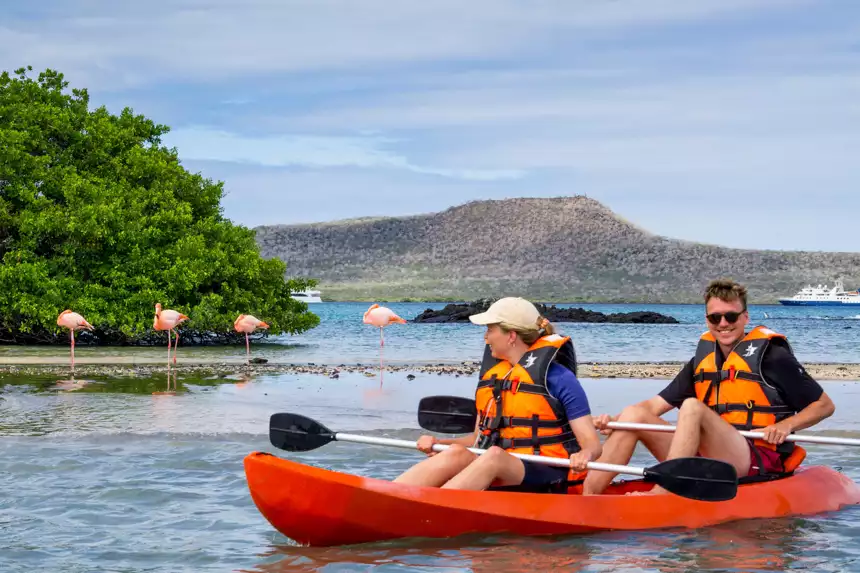 Kayakers Exploring the Galapagos next to pink flamingos on the beach off small cruise ships in the background 