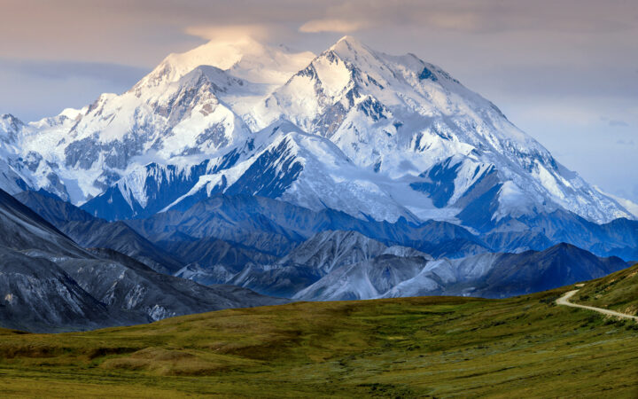 Green tundra & beige dirt road looks up to snow-covered peaks that reach clouds, seen on a Denali bus tour.