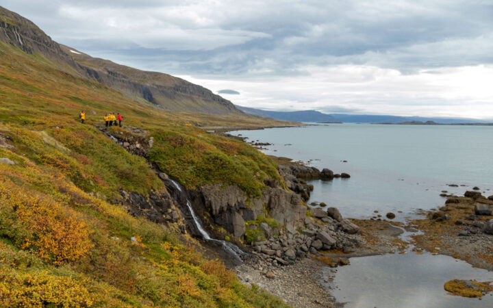 Iceland to Greenland cruise guests hike over golden tundra above waterfalls & calm sea on a cloudy day.