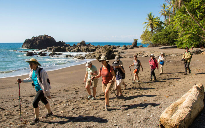 Small group of travelers walks a sunny white-sand beach with calm waves & palm trees on a Costa Rica adventure cruise.