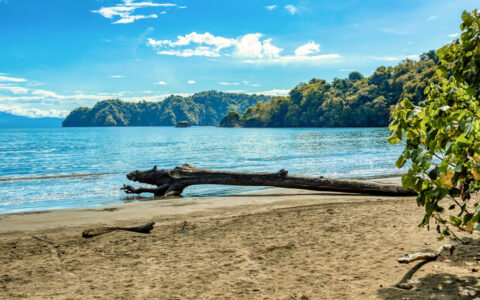 Empty white-sand beach with blue sea, downed log & bright green trees & mountains in Curu wildlife refuge, northern Costa Rica.