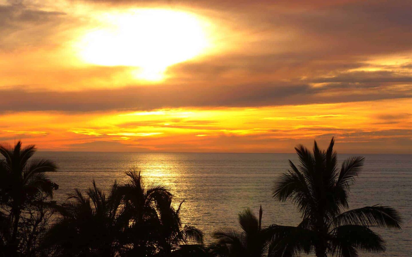 Sunset in baja with orange and yellow skys with a few palm trees in sight.