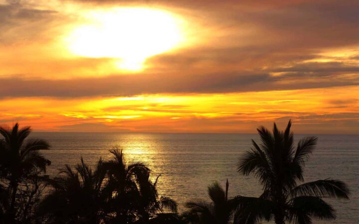 Sunset in baja with orange and yellow skys with a few palm trees in sight.