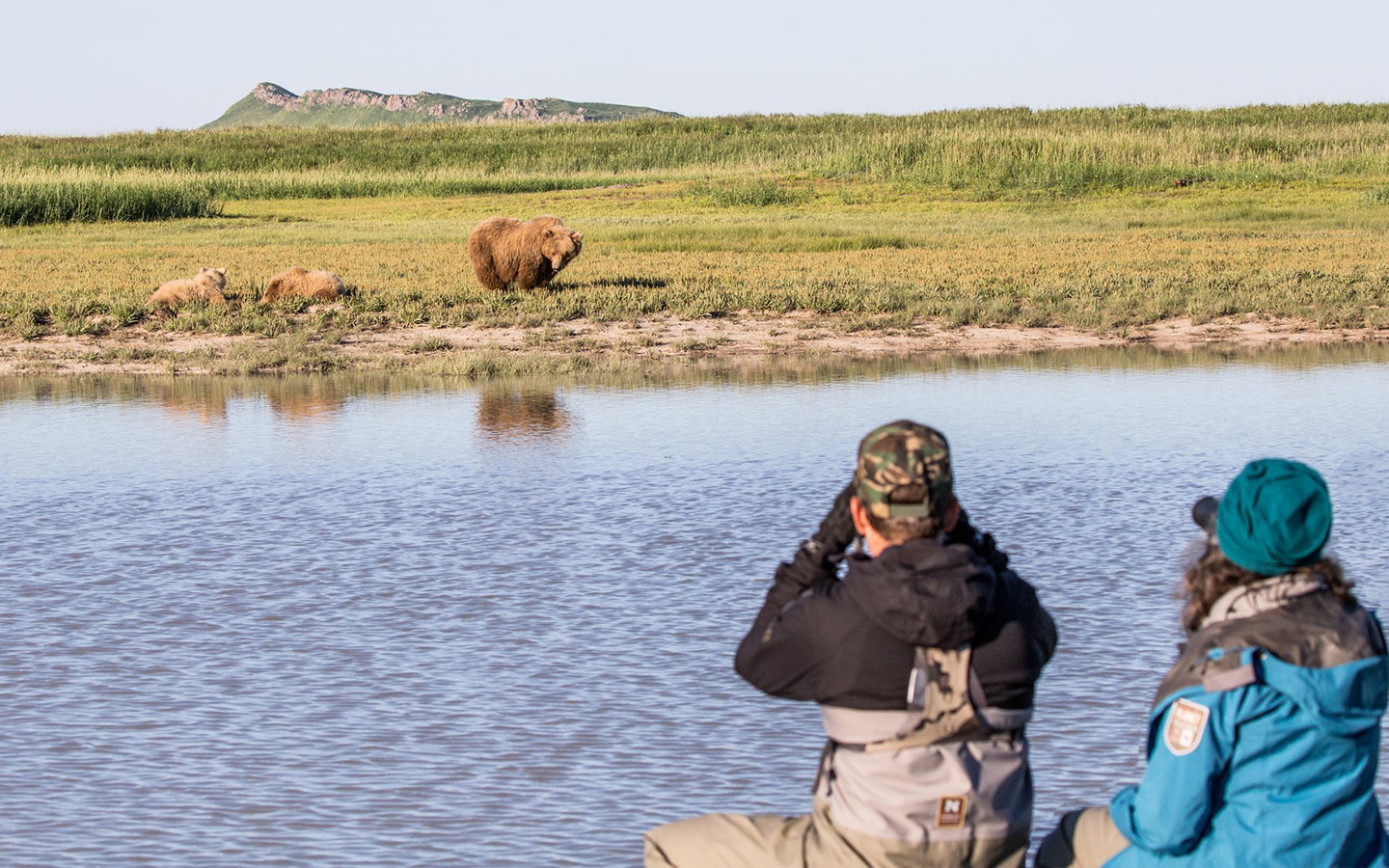 5 Iconic Alaska Wildlife Cruises by Small Ship