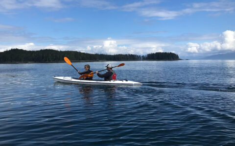Tandem kayakers paddle a white boat in calm sea backed by green hills on a sunny day in Alaska.