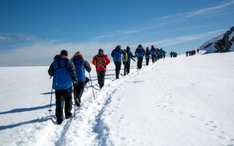 Small group of Antarctica Active cruise guests in blue parkas snowshoes in a pre-walked snowy line under sunny skies.