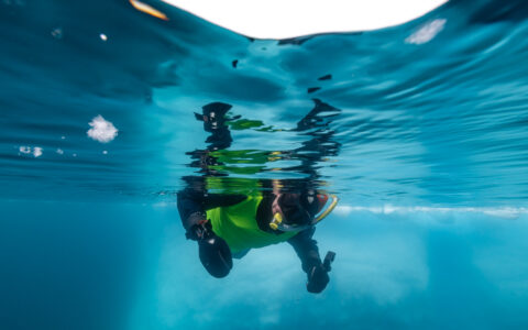 Antarctica Active cruise guest in green & black wetsuit looks under surface of clear water while polar snorkeling.