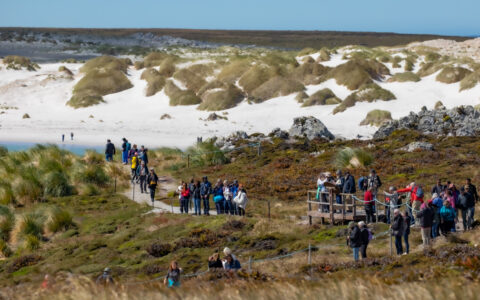 Antarctica Complete cruise guests walk a white-sand trail among tall grass beside the sea on a sunny day in the Falkland Islands.
