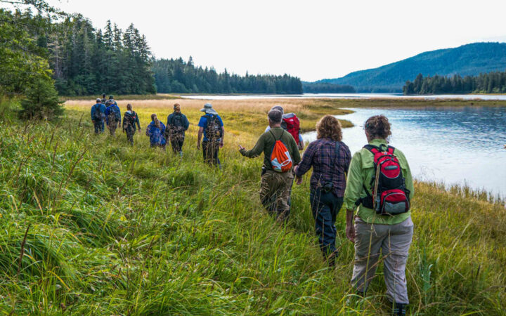 Small group of hikers on a Gulf of Alaska cruise walk a shoreline of tall grass under a hazy sky.