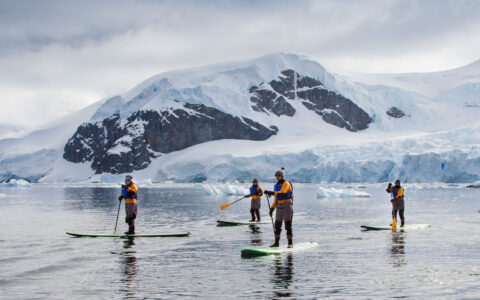 4 Paddle boarders navigate icy waters in front of a snowy icy mountain