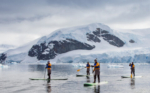 4 Paddle boarders navigate icy waters in front of a snowy icy mountain