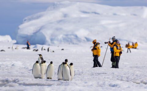 2 adventurists stand near emperor penguins as they waddle down the snowy path