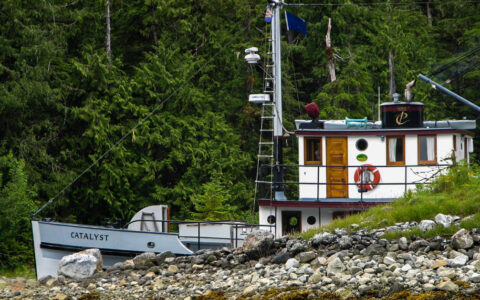 Historic motor vessel Catalyst tucked into an inlet beside lush green forest in Alaska.