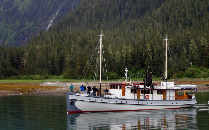 white wooden ship westward floats close to the shore edge, guests gather on bow watching bears on shore in Alaska