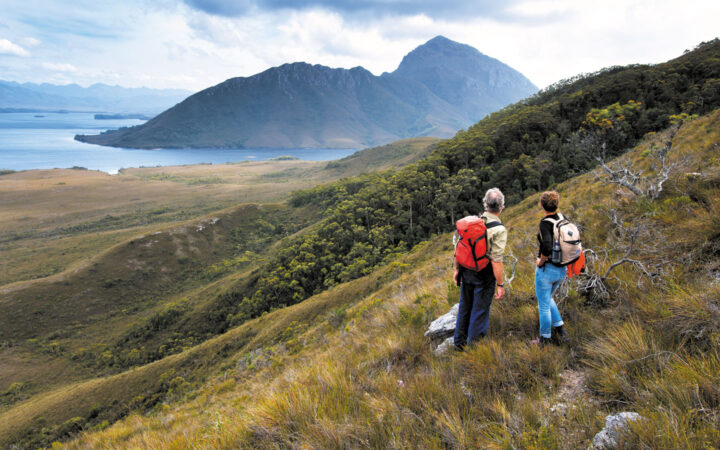 Man & woman stand on a hillside in tall, burnt grass while hiking, overlooking the coast on a Tasmania small ship cruise.