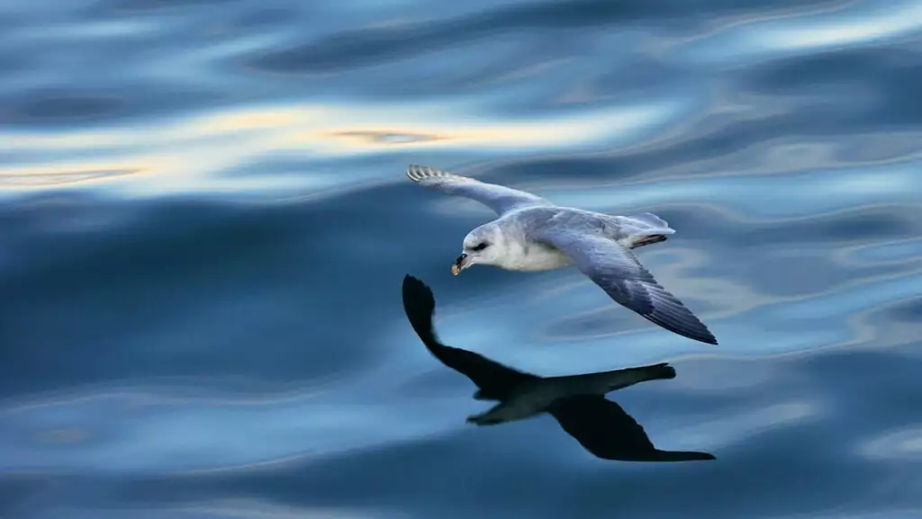 Photo by: Petr Slavik