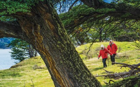 Man & woman in red jackets walk atop grass near water & a scraggly forest on a Lindblad Patagonia cruise.