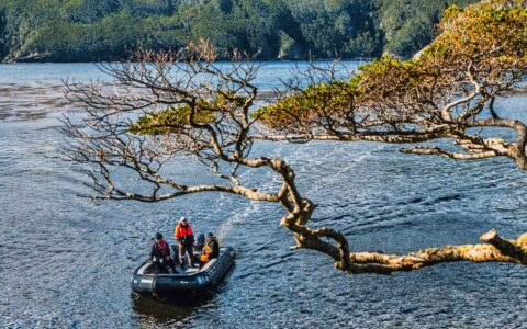 Guests trekking by zodiac through the remote Isla de los Estados (Staten Island) in the Tierra del Fuego province of Argentina.