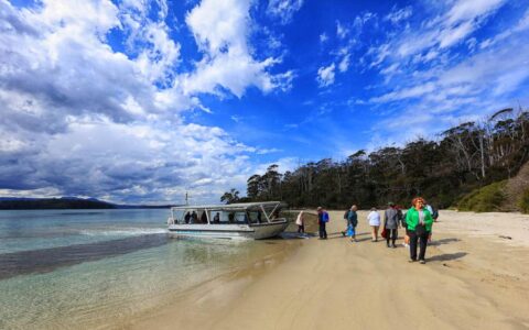 travelers step off of a skiff on the beach during the pristine tasmania small ship cruise on a sunny day