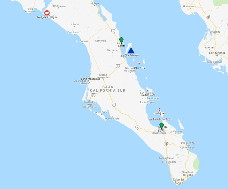 Route map of Westward Voyages in the Sea of Cortez 11-day Baja small ship cruises, operating between La Paz and Loreto & visiting San Ignacio Lagoons.