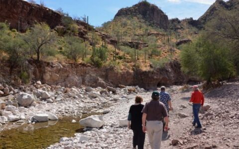 group hiking along creek in baja on westward voyages small ship cruise