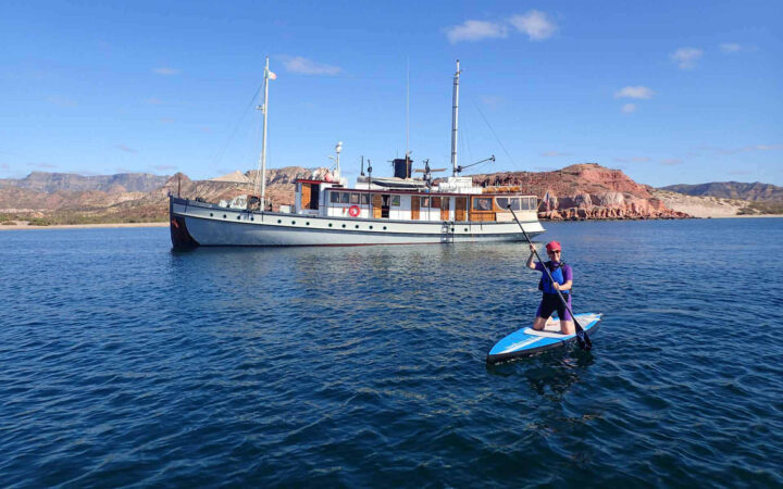 a woman on a paddleboard smiles while floating in front of the westward baja california small ship on a sunny day in the sea of cortez