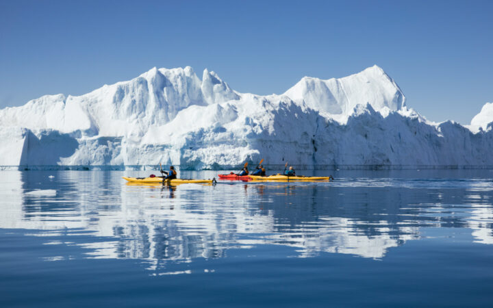 Kayakers in yellow kayaks naviagte calm icy waters with large white icebergs on a blue sky day
