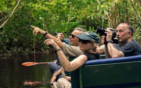 amazon travelers in a small boat look and point into the jungle at the napo wildlife center