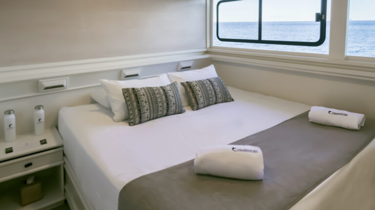 Master cabin with king bed on mv Galapagos Sky, with white wood accents & closet, bedside table, carpet & view windows.