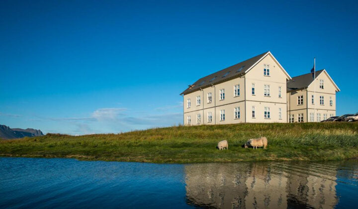 Icelandic Hotel Budir's side-by-side, 3-story yellow farmhouses sit in grass beside lake & 2 sheep under clear blue sky.