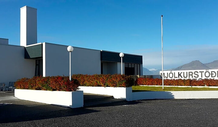 Exterior of Milk Factory Iceland hotel with white industrial walls, red flowers & empty flag pole with mountains in the distance.