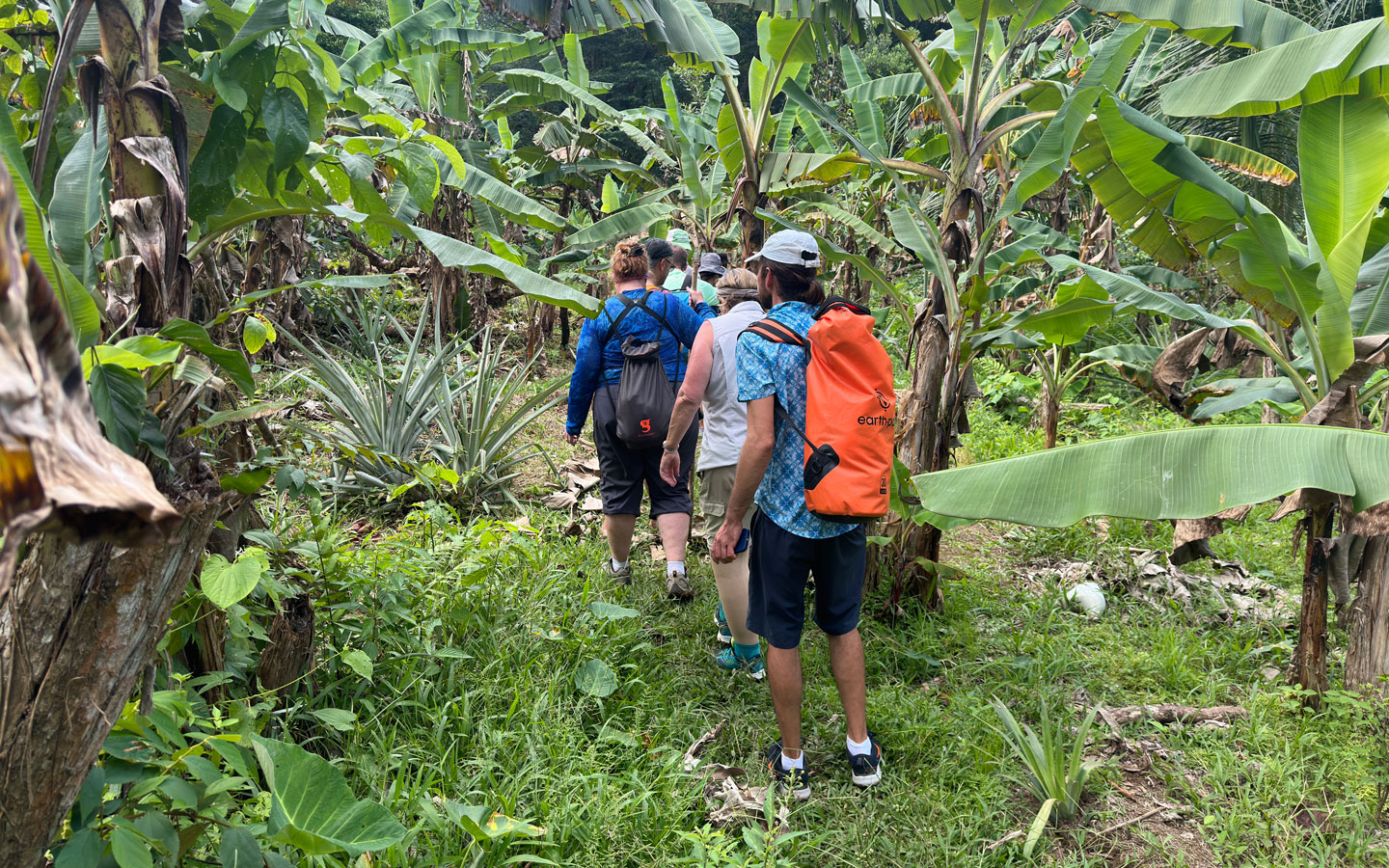 Small group of travelers with backpacks walk through dense green tropical foliage during a Panama tour.
