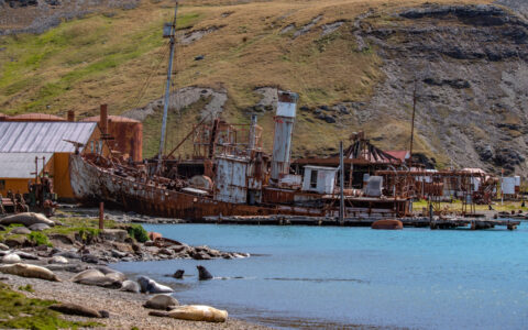 Large rusted & abandoned ship at Stromness, South Georgia Island, sits among grassy hills & rusted out whaling buildings.