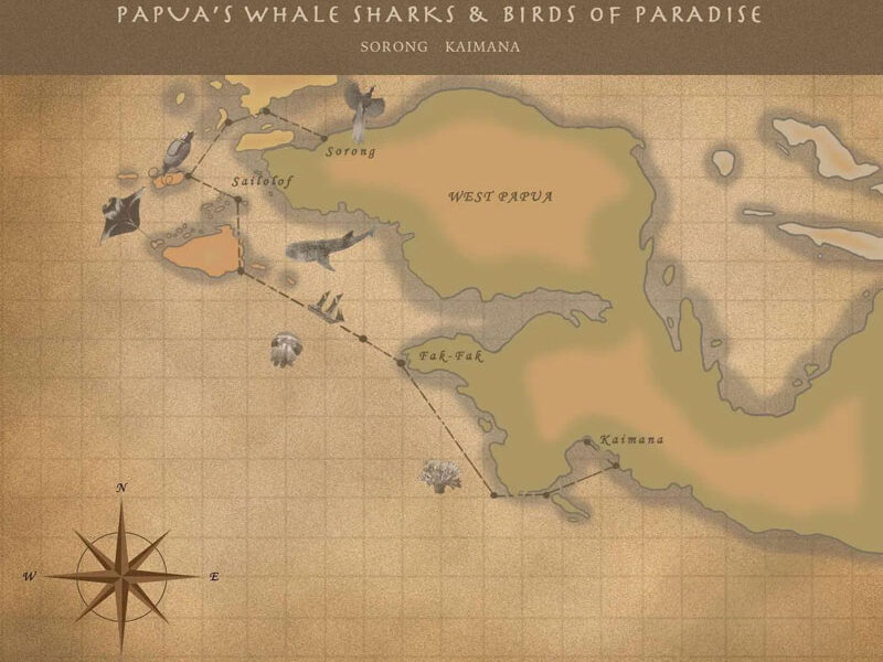 Route map of Papua's Whale Sharks & Birds of Paradise Indonesia small ship cruise, with visits along the southern coast of West Papua, in the Ceram Sea.