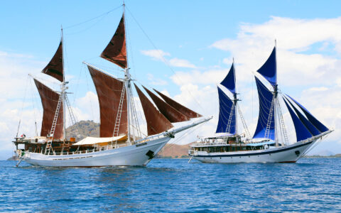 Sailing Indonesia: Komodo & Beyond photo 3