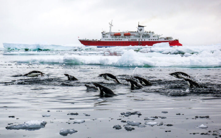 raft of penguins swimming in front of an antarctica expedition ship on an overcast day
