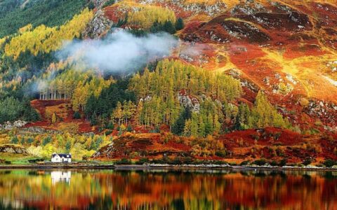 Fall colors of red, green & gold on a Scottish hillside seen during the Classic Scotland Barge Cruise.