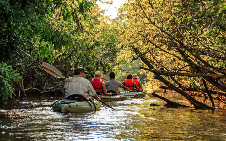 Small ship cruise passengers on a kayak excursion in the ecuadorian amazong paddling down a narrow stretch of river lined with trees on both sides