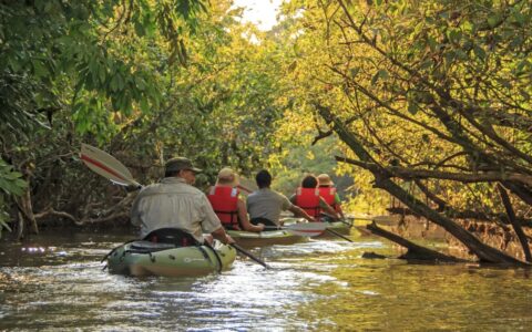 Small ship cruise passengers on a kayak excursion in the ecuadorian amazong paddling down a narrow stretch of river lined with trees on both sides