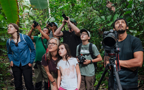 Guests with cameras in hand and one large commerical camera look up at the wonders of the amazon in aw