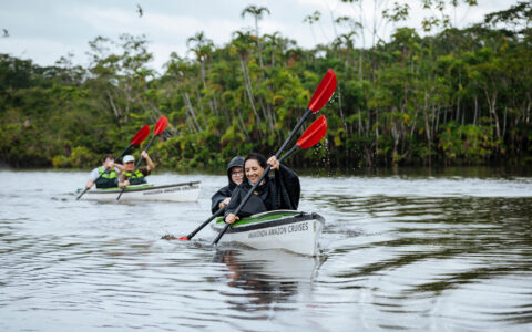 four Guests kayak with red paddles through the amazon river on a calm day next to the green lush forest