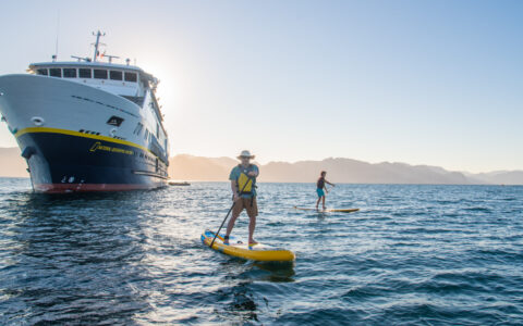 Channel Islands cruise travelers paddle yellow inflatable stand-up paddleboards near a National Geographic-branded small ship.
