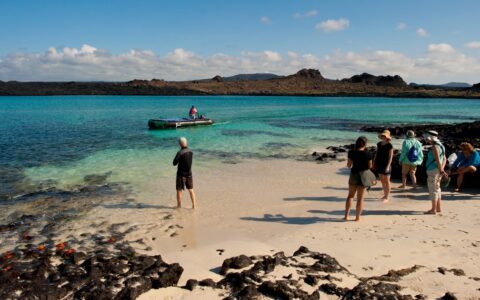 A group of Galapagos travelers stand on an islands sandy beach with black lava rock against crystal blue and teal ocean water beyond them.