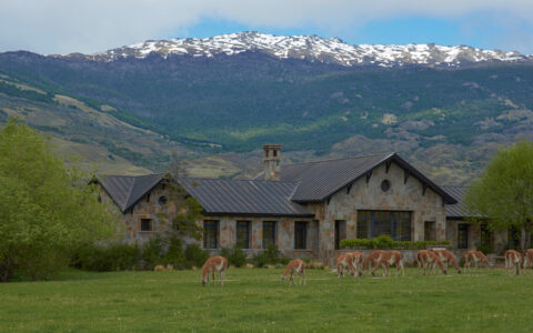 Small stone wilderness lodge of Explora Connects trip sitting in Patagonia National Park valley with guanacos grazing in front