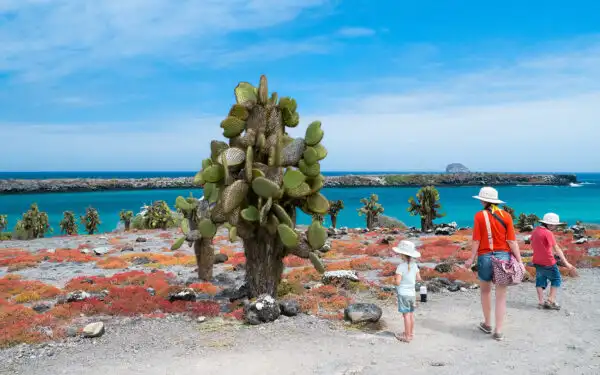 A bright blue sunny day in the Galapagos a mother and two kids explore an island filled with green cacti and bright red plants