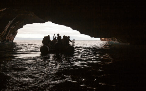 Grace Galapagos Cruises photo 5