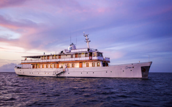 Grace Galapagos cruise ship with white decks & wooden accents cruising in calm waters under purple clouds at sunset.