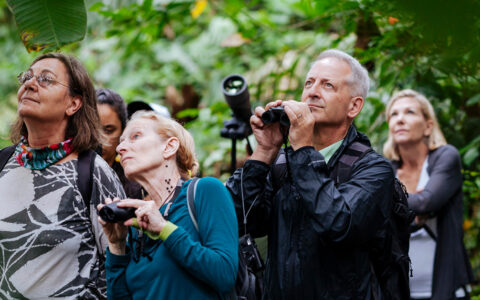Adventurist looking into the distance with their cameras in hand ready to see any action in the jungle surrounding them.