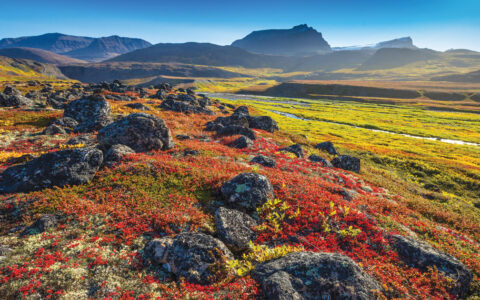 Arctic tundra of red, orange, gold & bright green under a misty blue sky, seen during the Iceland & Greenland: Edge of the Arctic Cruise.